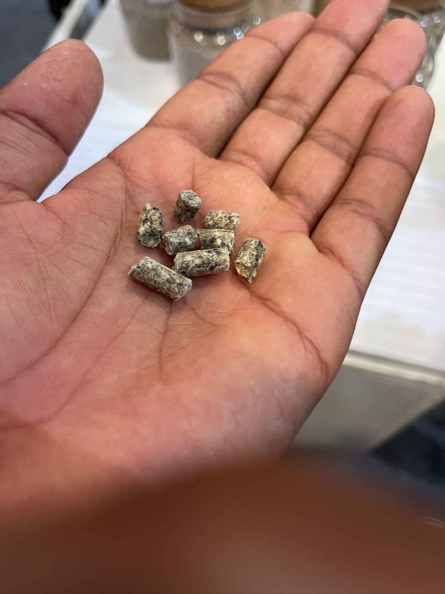 Rena Farm pellets in hand