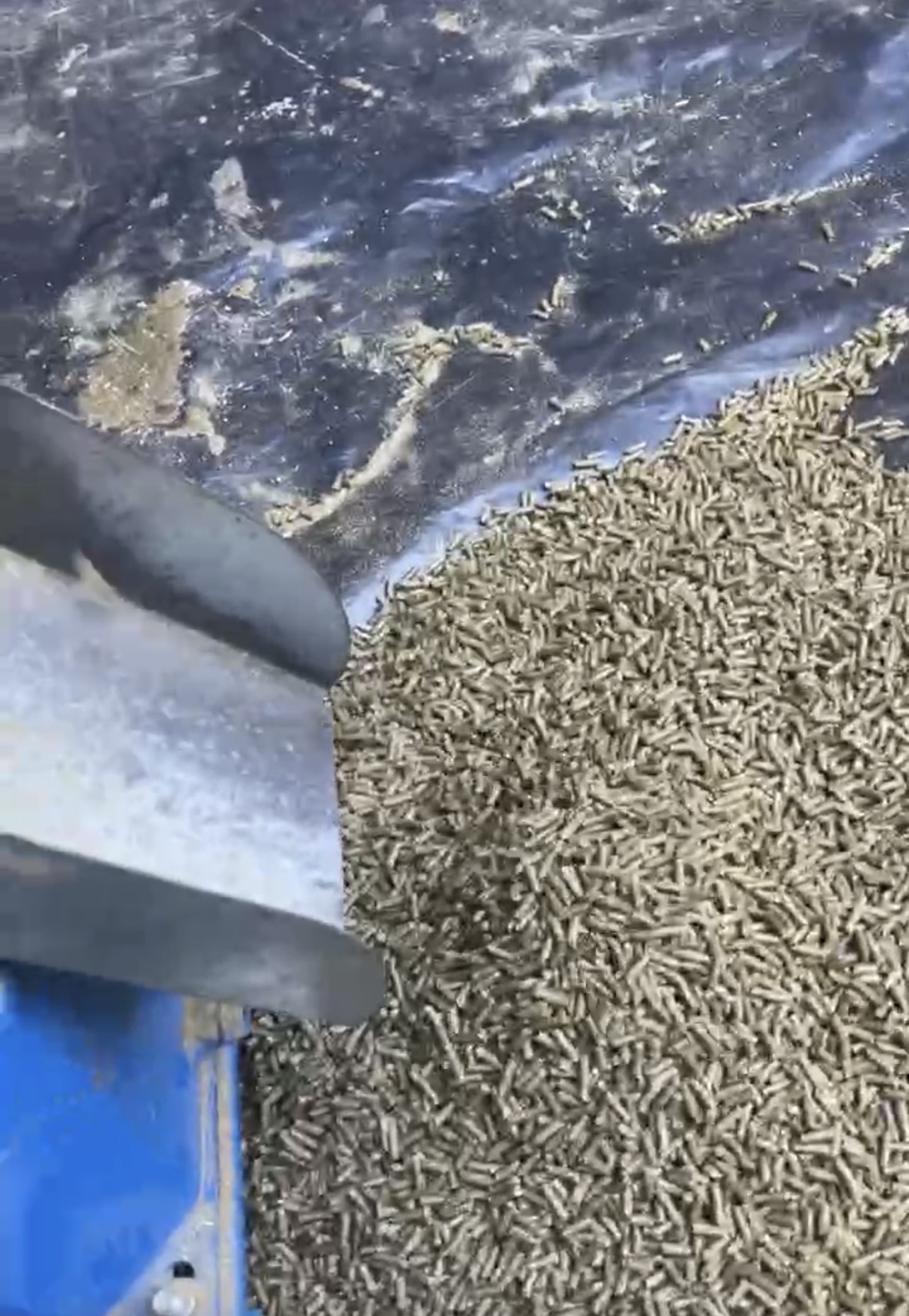 Pellet making machine at Rena Farm
