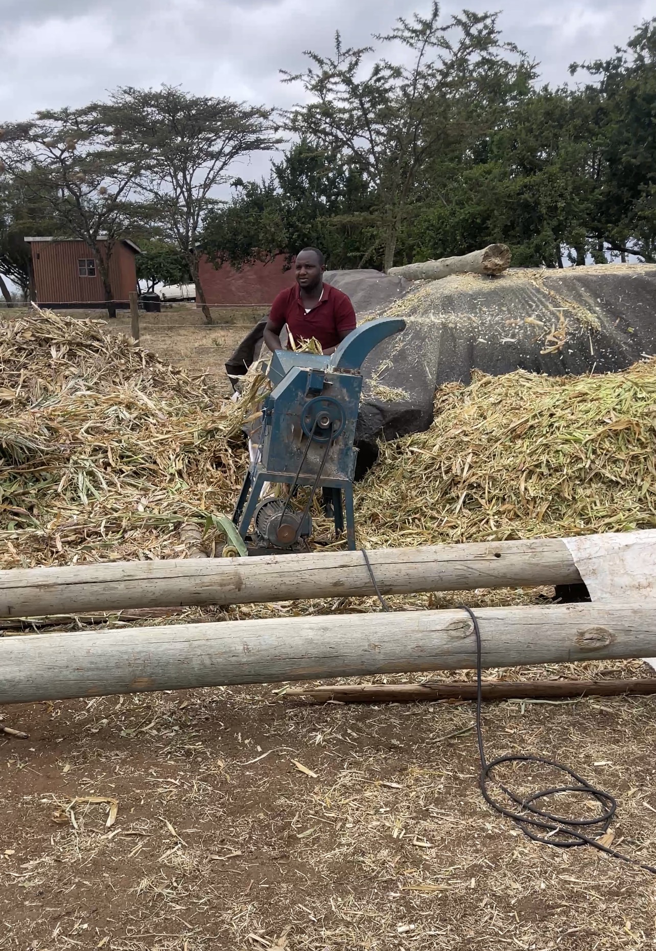 Silage making at Rena Farm